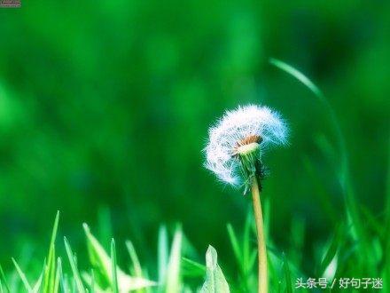 致自己看淡看透人生的经典句子，句句感悟透彻！(图5)