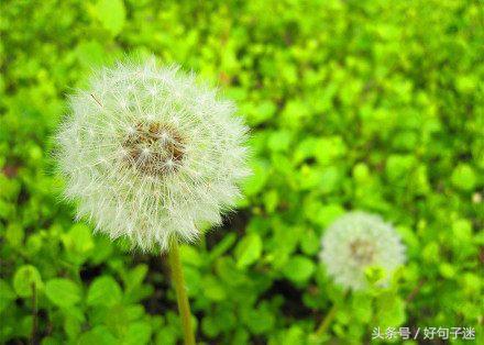 致自己看淡看透人生的经典句子，句句感悟透彻！(图6)