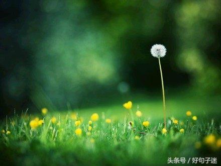 致自己看淡看透人生的经典句子，句句感悟透彻！(图7)