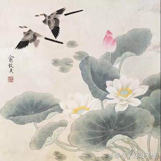 看淡人生的经典句子，句句经典入心，静下心来好好看看！(图3)