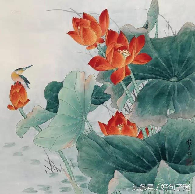 看淡人生的经典句子，句句经典入心，静下心来好好看看！(图4)