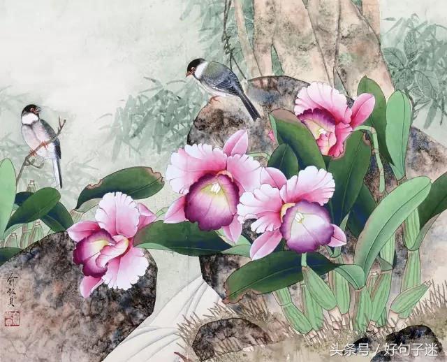 看淡人生的经典句子，句句经典入心，静下心来好好看看！(图5)