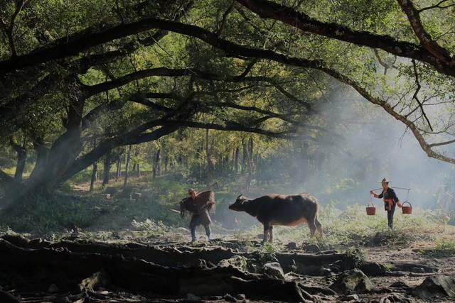 一天忙碌中的感悟(图13)