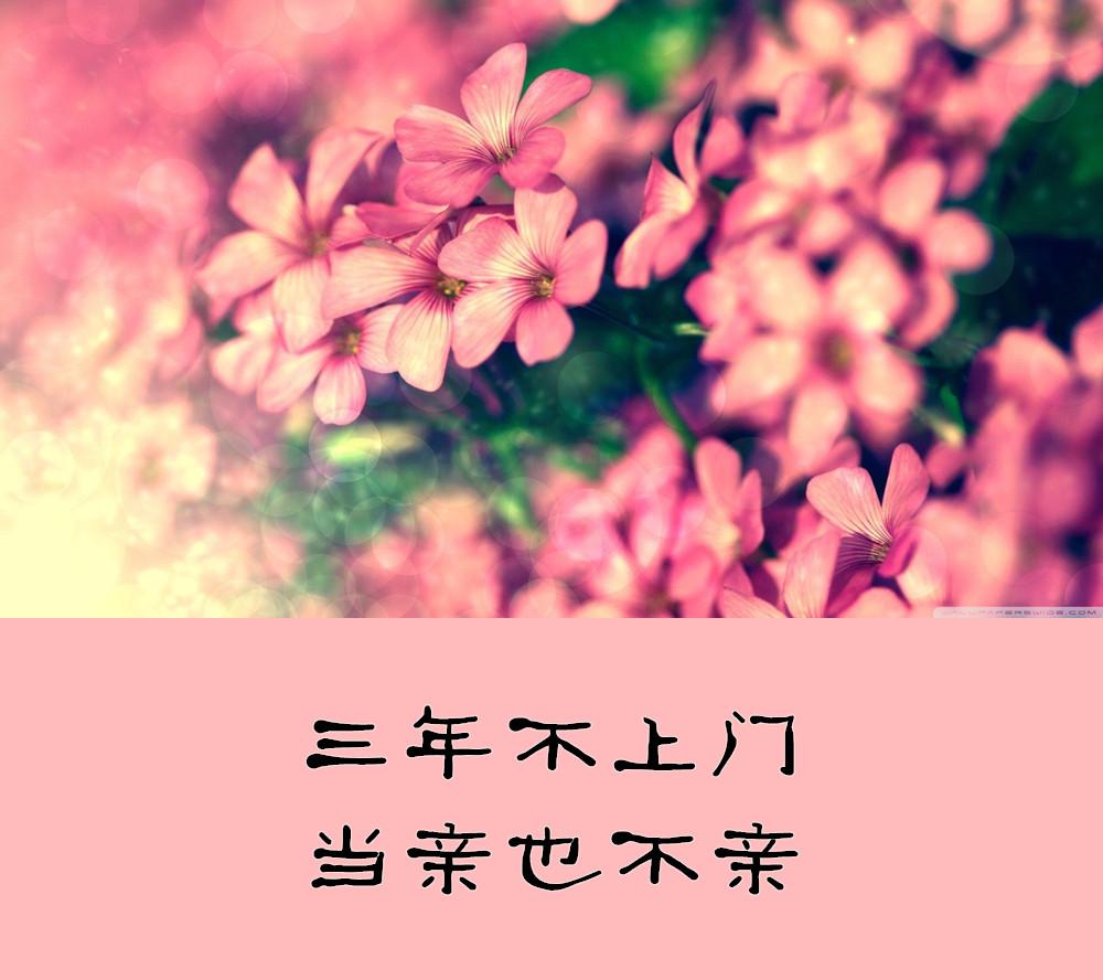 老祖宗留下来的金句：不做中人不做保，一生一世无烦恼(图3)
