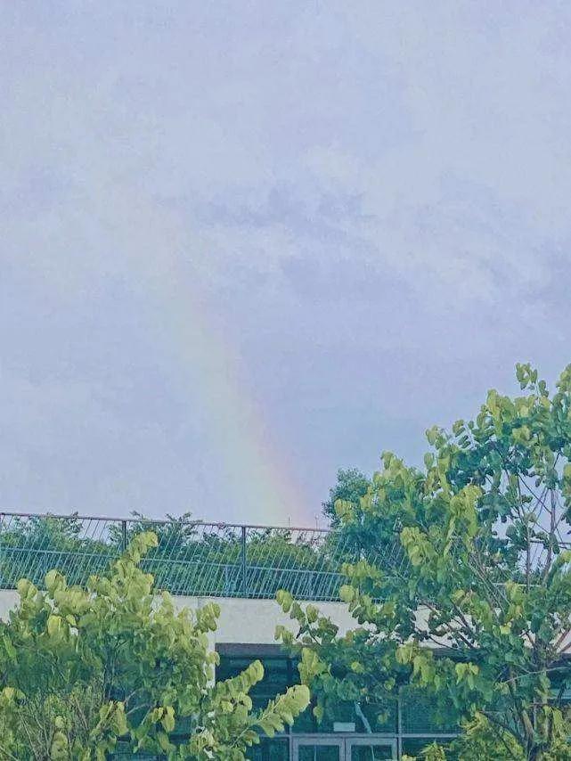 夏天的风文案短句温柔 吹着夏天的风文案干净温柔(图2)