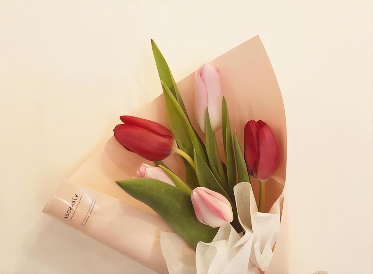 释怀文案短句干净治愈 释怀放下的经典句子(图2)