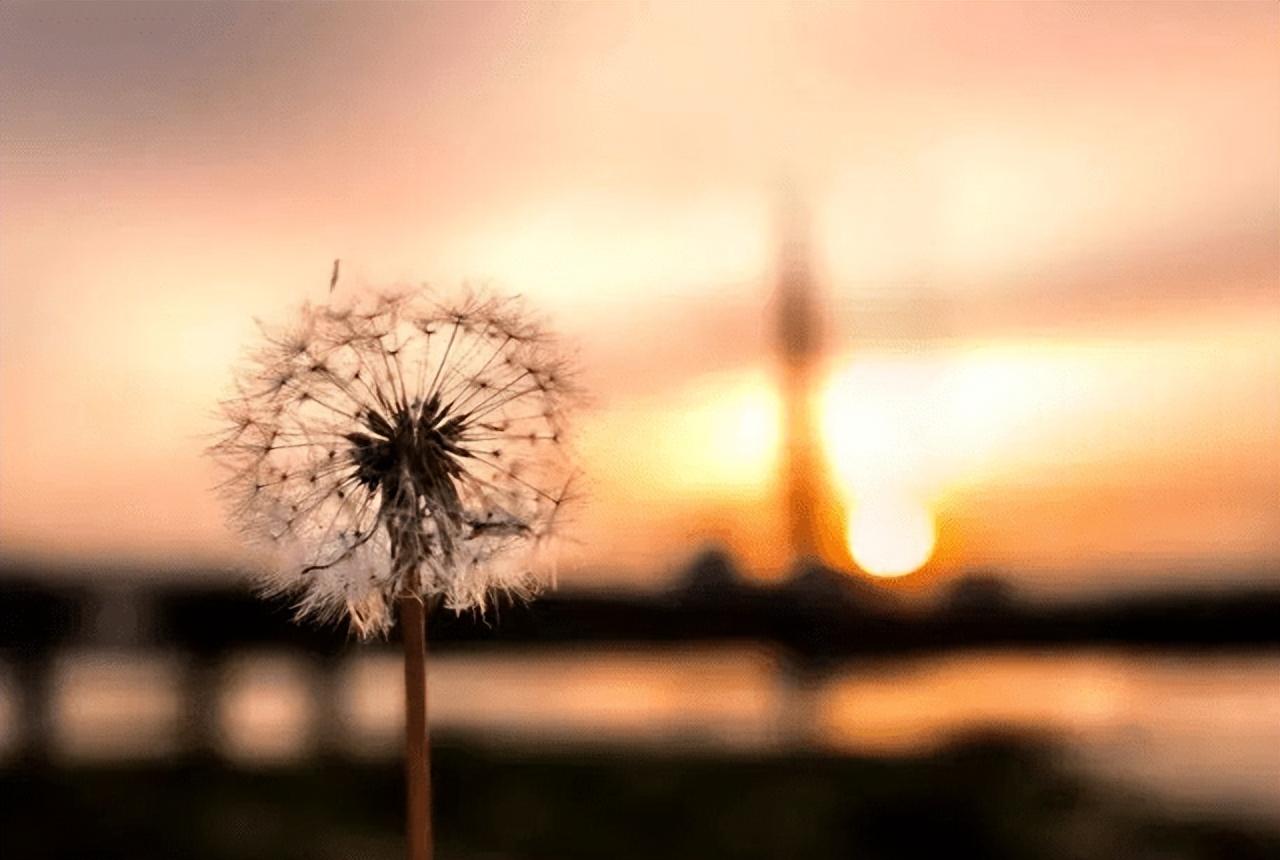 释怀文案短句干净治愈 释怀放下的经典句子(图3)