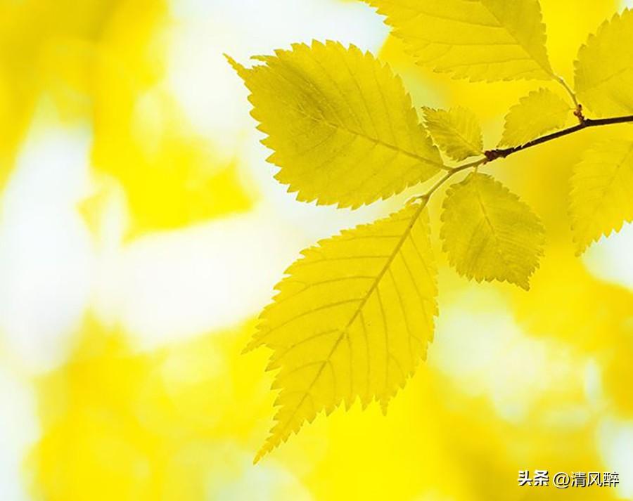 想念一个人的心情说说(图1)