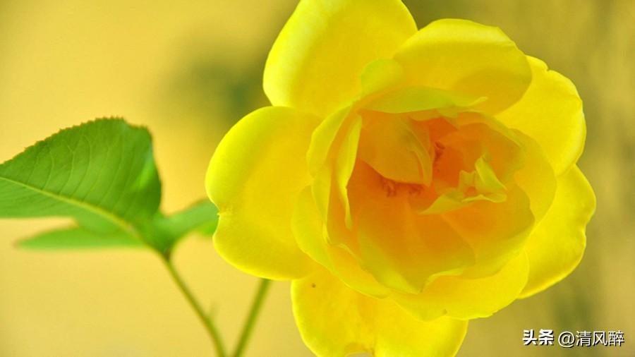 想念一个人的心情说说(图2)