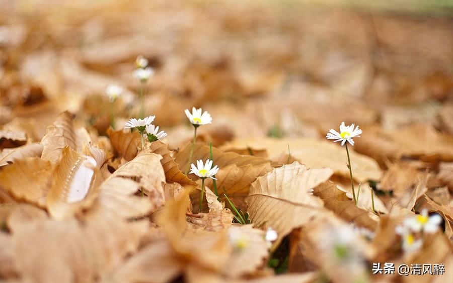 想念一个人的心情说说(图3)