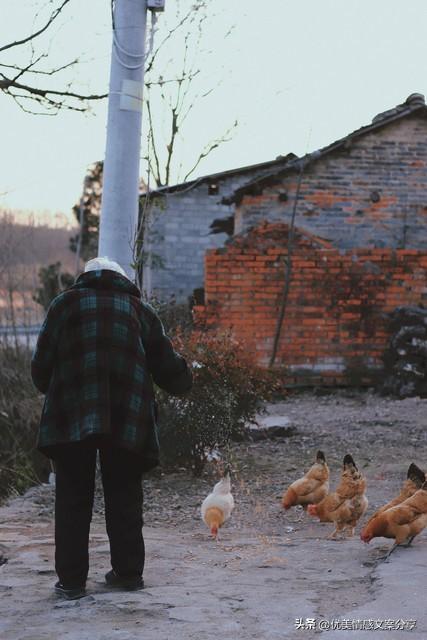 无法弥补的遗憾(图1)