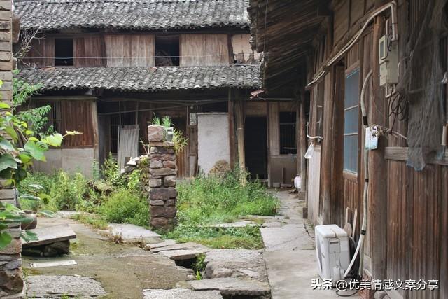 无法弥补的遗憾(图3)