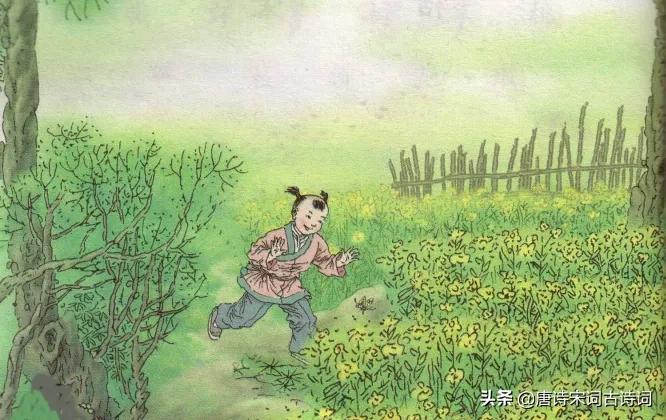 在古诗词里寻找童年的乐趣(图2)