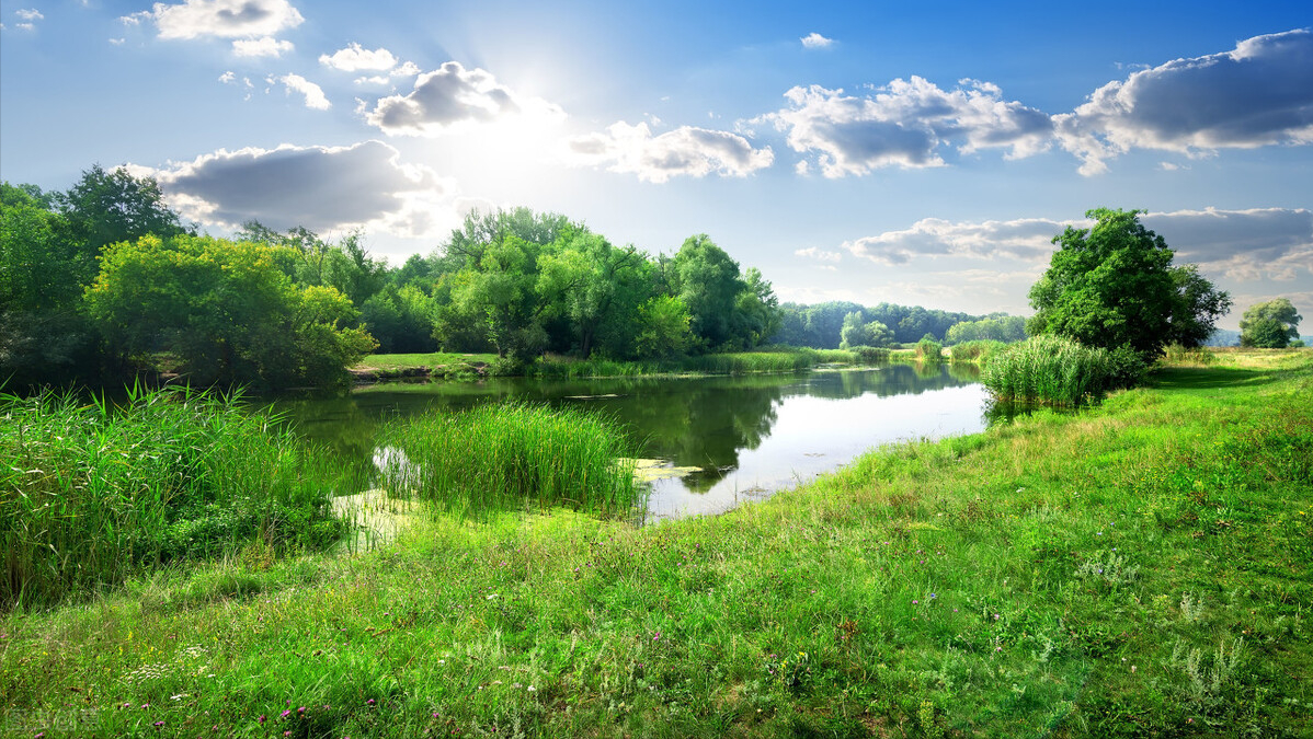 名言金句｜一年之计在于春，一日之计在于晨(图1)