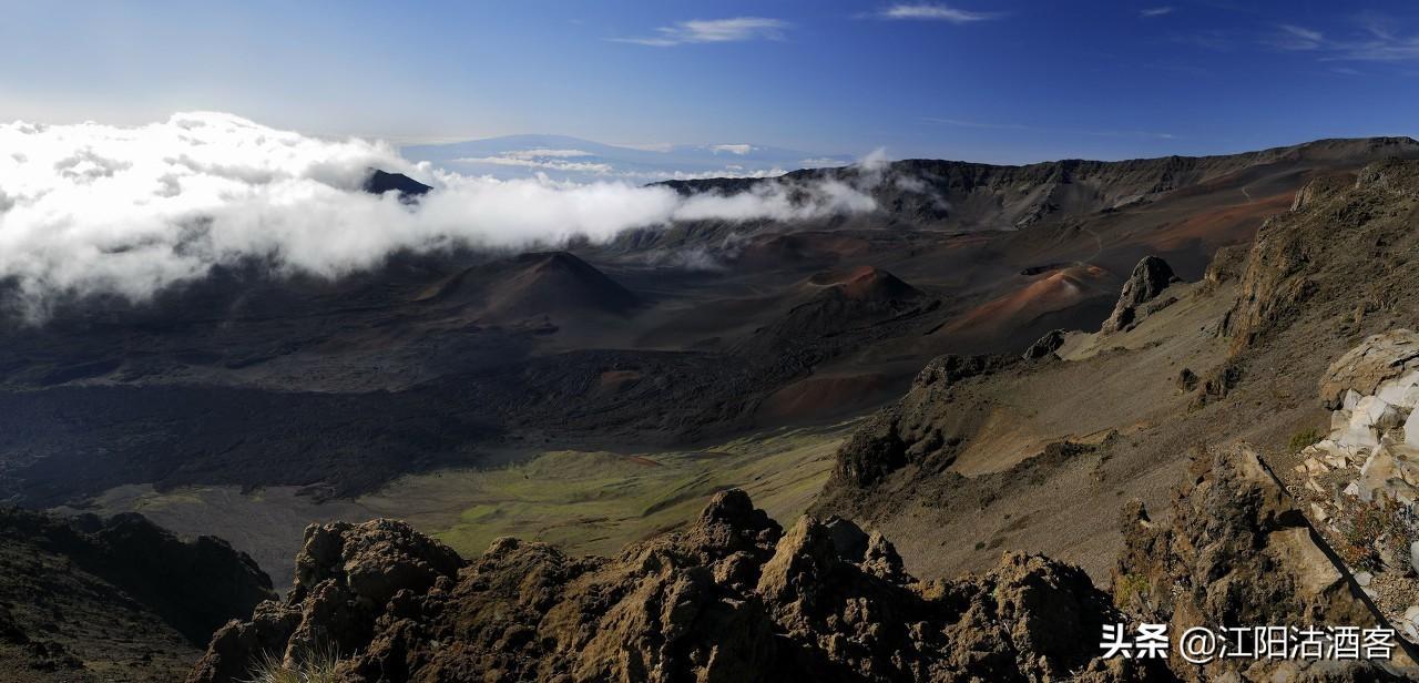 万物皆有灵，草木亦有心｜不伤害才是真博爱(图1)