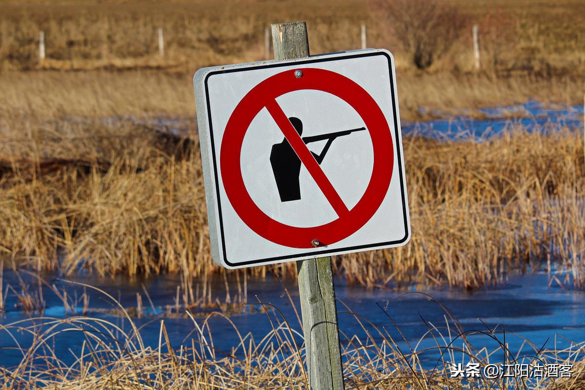 万物皆有灵，草木亦有心｜不伤害才是真博爱(图2)