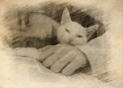 无聊的说说心情短语(图5)