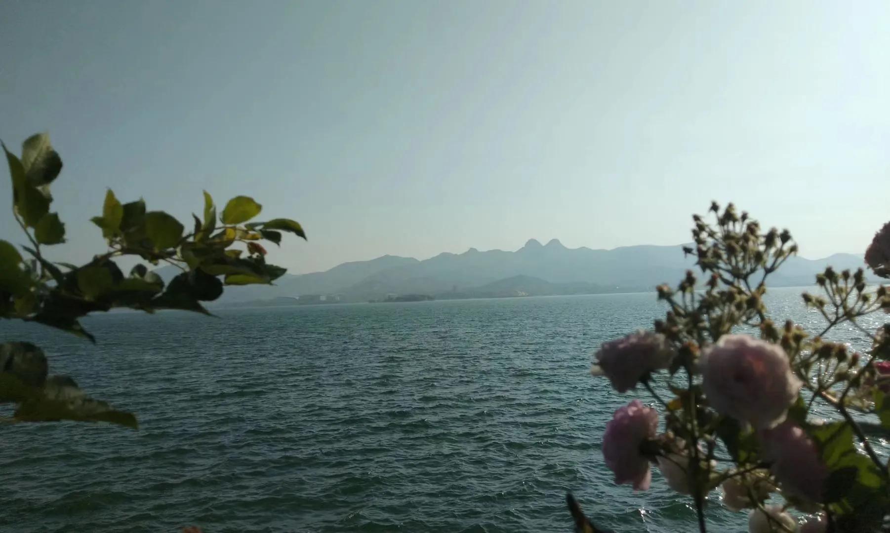 时间改变一切的真实句子，一辈子活着真的好难啊(图4)