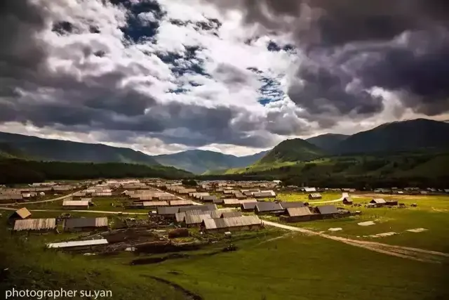 《舞鹤赋》原文、翻译及赏析(图3)