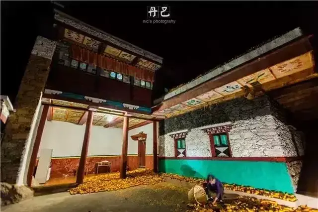 《舞鹤赋》原文、翻译及赏析(图4)