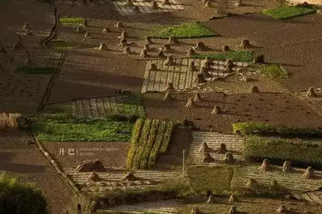 《舞鹤赋》原文、翻译及赏析(图6)