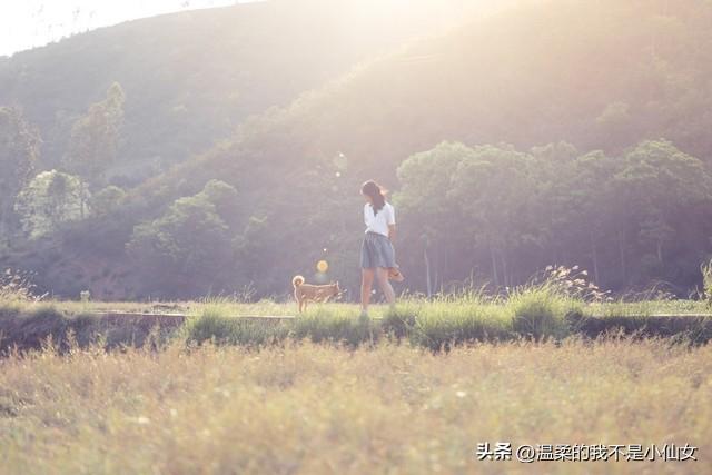 默默守候，无尽柔情。(图3)