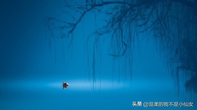 默默守候，无尽柔情。(图6)