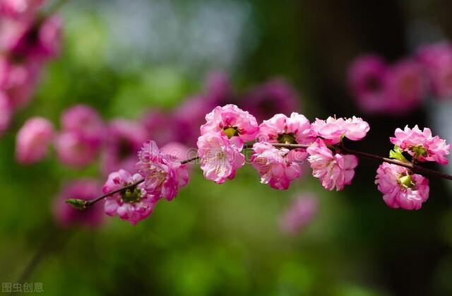 最好的感情，不是朝夕相伴，而是默默相守(图1)