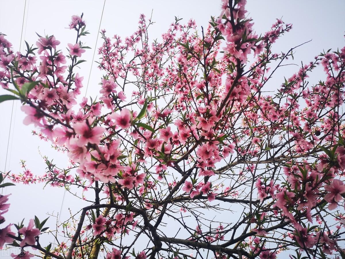 最好的感情，不是朝夕相伴，而是默默相守(图2)