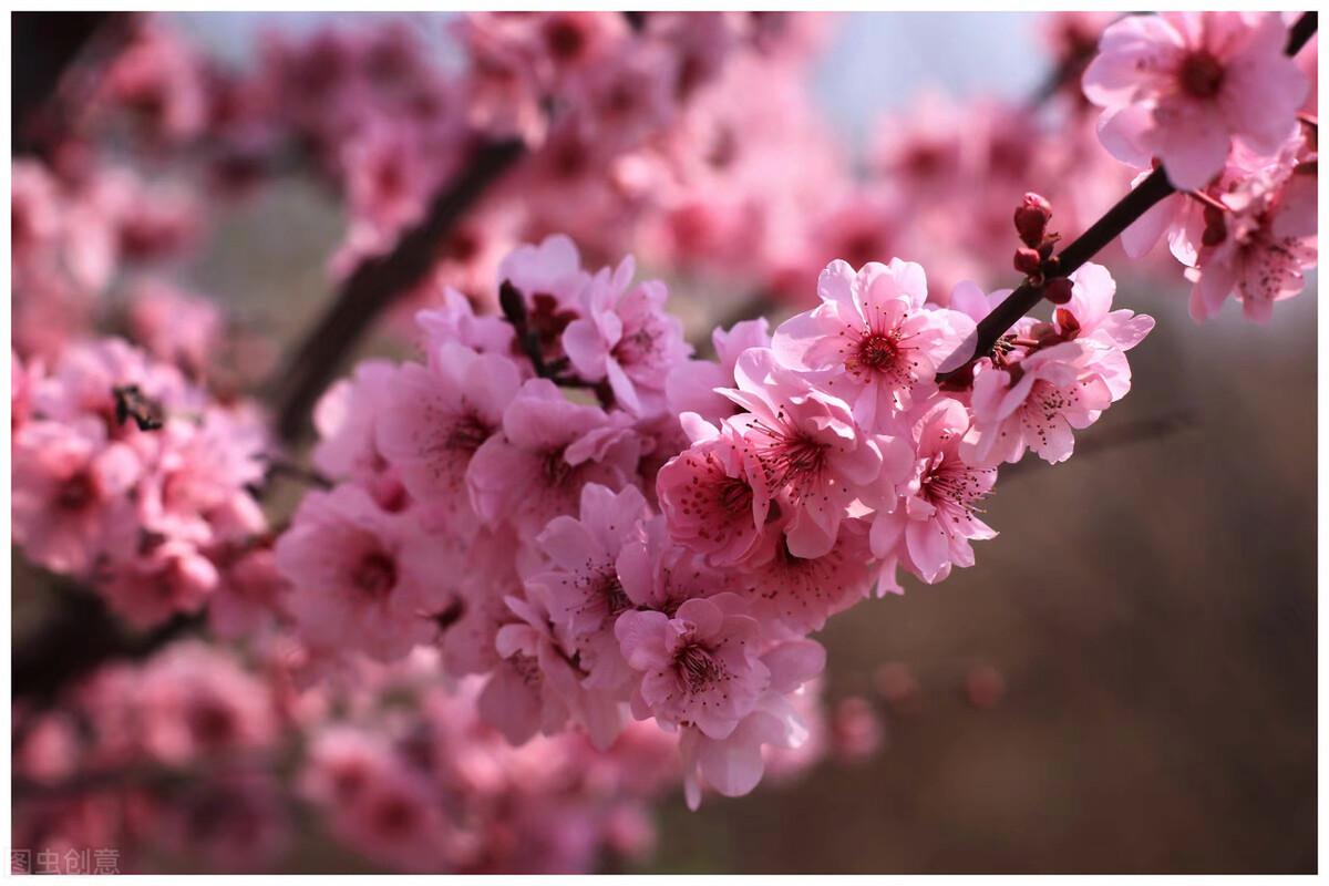 最好的感情，不是朝夕相伴，而是默默相守(图3)