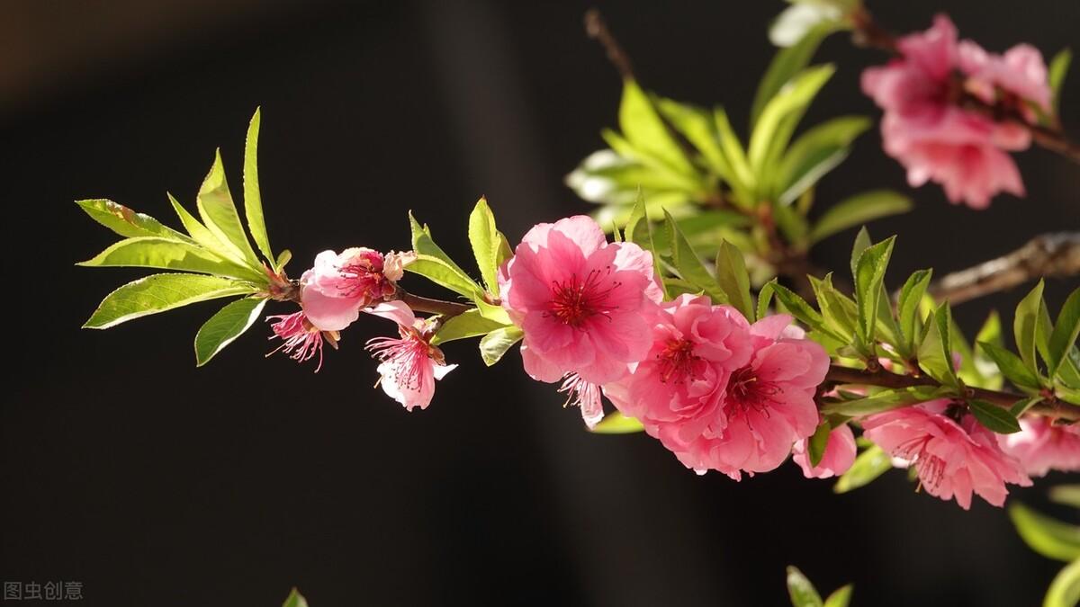 最好的感情，不是朝夕相伴，而是默默相守(图4)