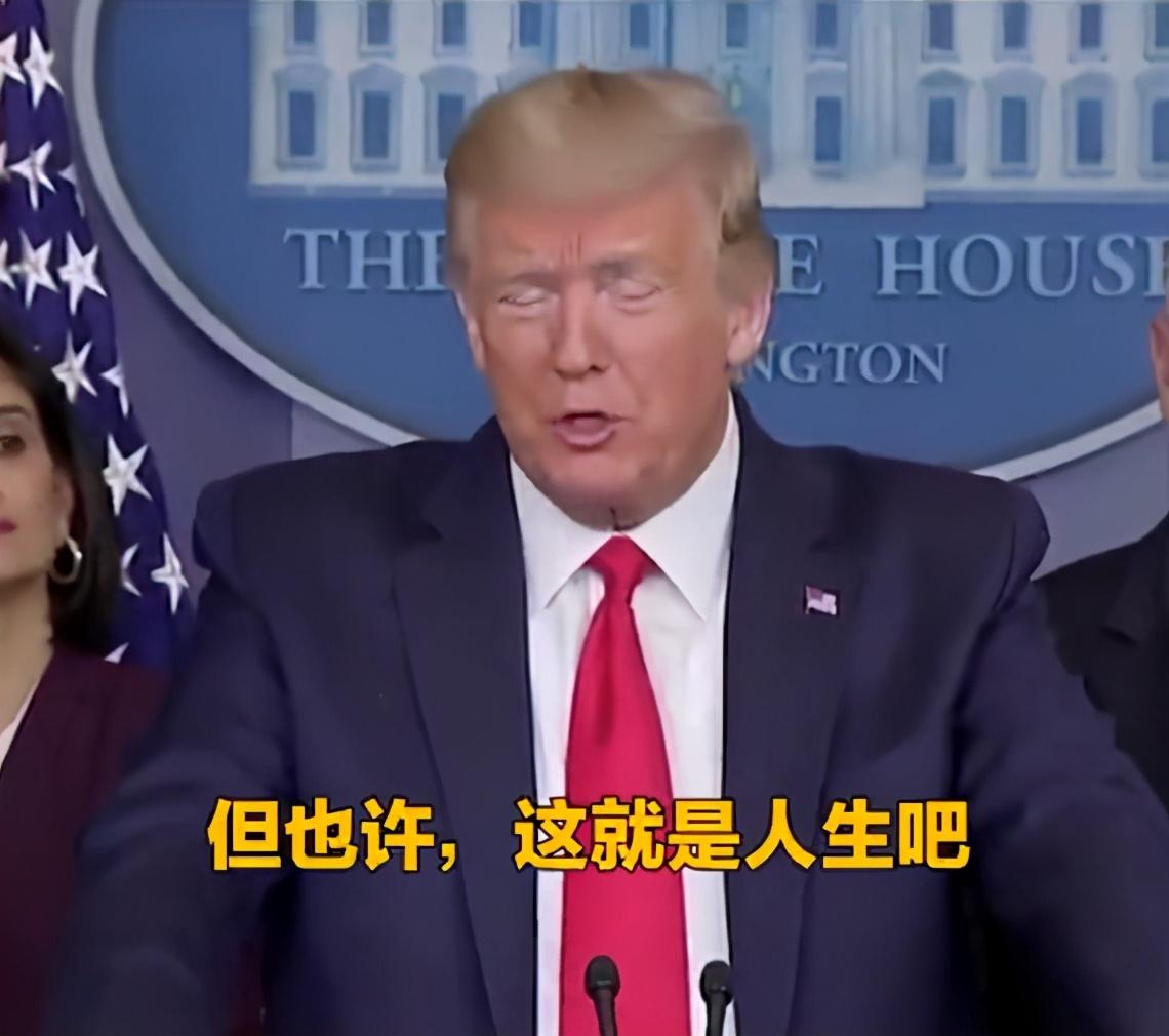 猫猫都被迫营业，火遍全网的打工语录把我笑傻了(图4)