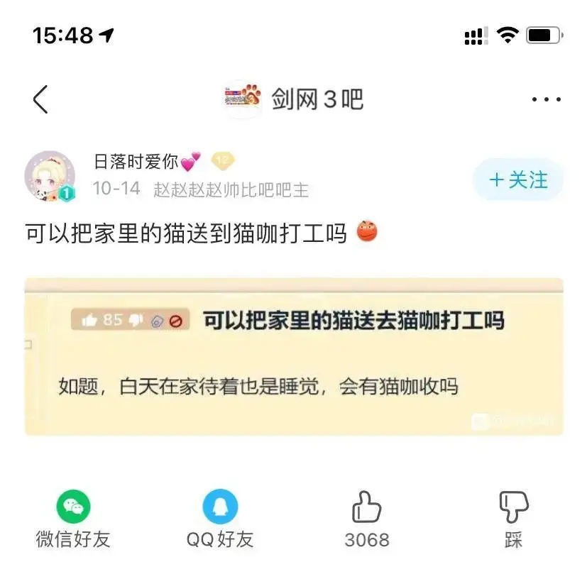 猫猫都被迫营业，火遍全网的打工语录把我笑傻了(图7)