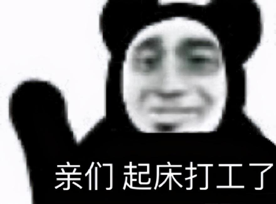 猫猫都被迫营业，火遍全网的打工语录把我笑傻了(图8)