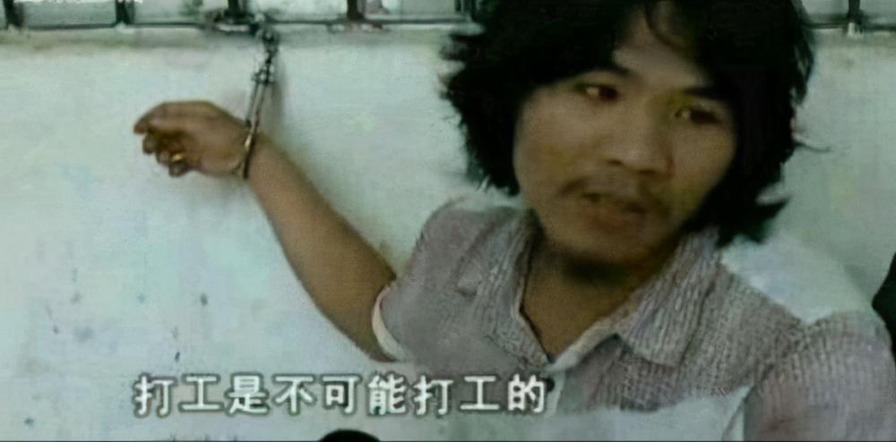 猫猫都被迫营业，火遍全网的打工语录把我笑傻了(图11)