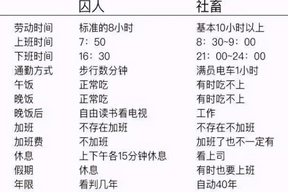 猫猫都被迫营业，火遍全网的打工语录把我笑傻了(图16)