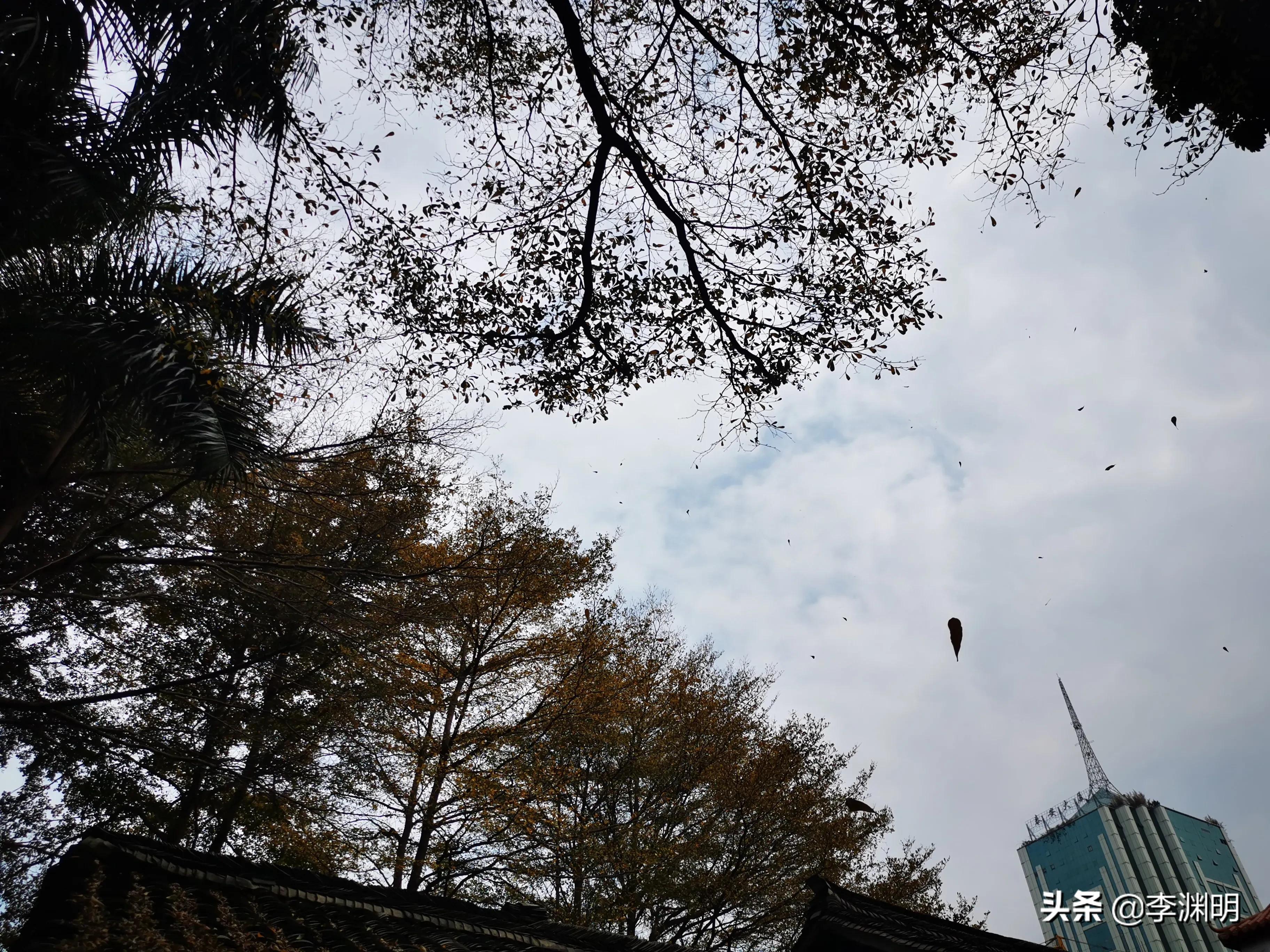 你笑我愚蠢，我笑你无知，正是五十步笑百步而已(图1)