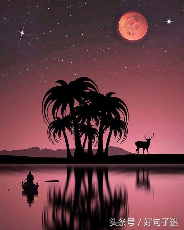 世上最暖心的情话，句句唯美浪漫，让女人记住一辈子！(图1)