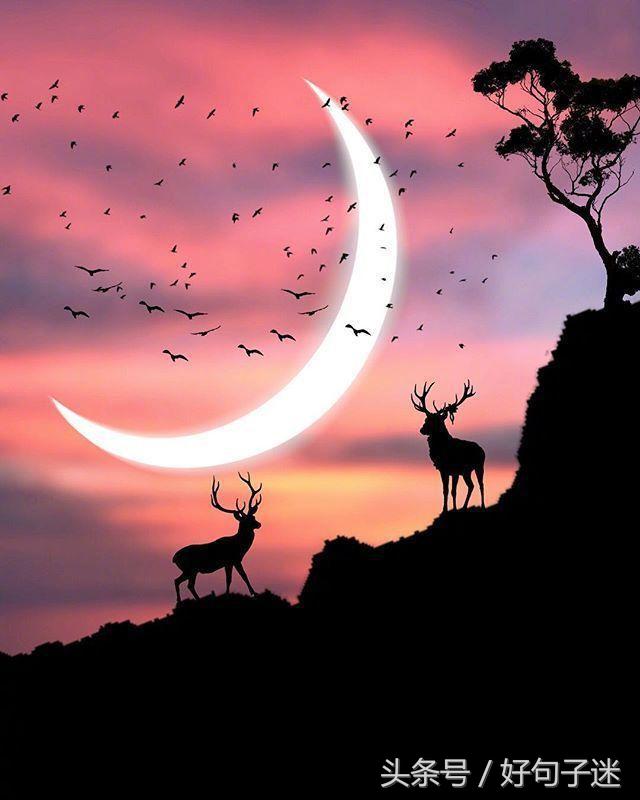 世上最暖心的情话，句句唯美浪漫，让女人记住一辈子！(图7)