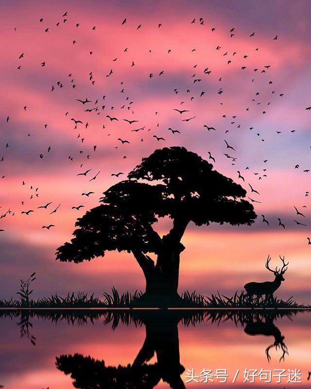 世上最暖心的情话，句句唯美浪漫，让女人记住一辈子！(图8)