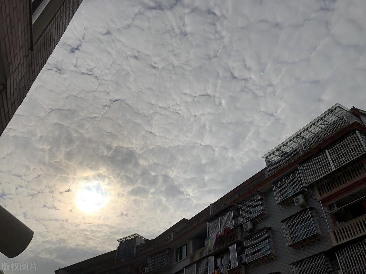 对感情失望心寒的话（故意让对方看了心疼的句子）(图2)