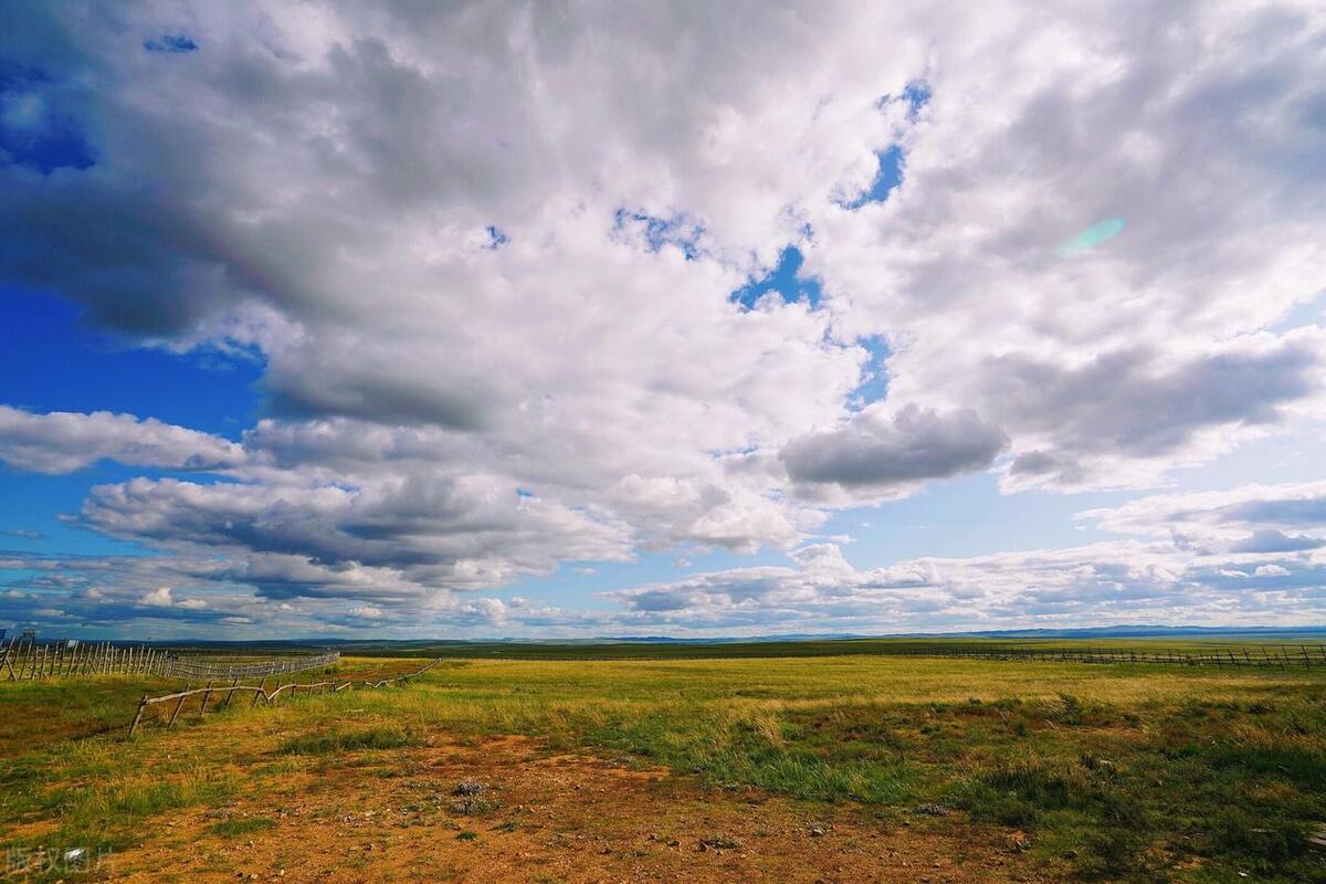 对感情失望心寒的话（故意让对方看了心疼的句子）(图3)