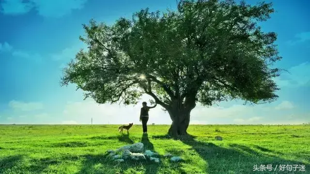 很有哲理的名言警句，靠自己改变命运！(图2)