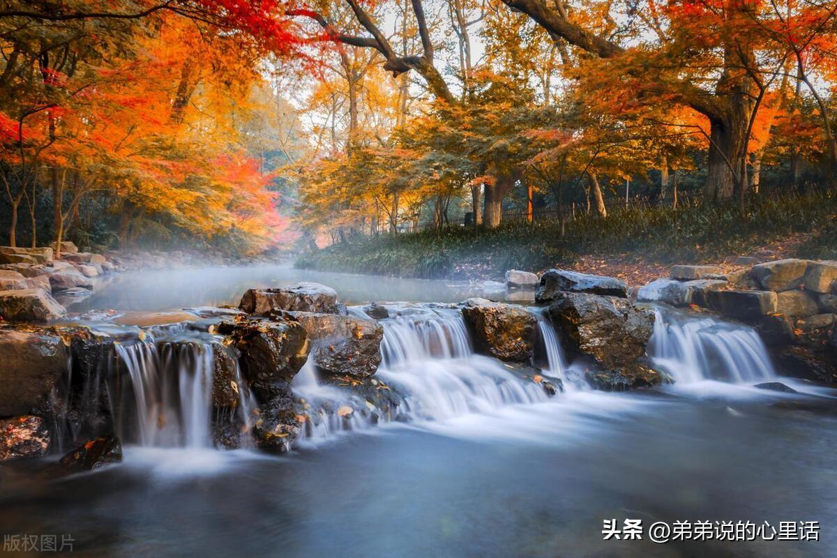 永远感激着你的陪伴，如同呼吸一般重要(图2)