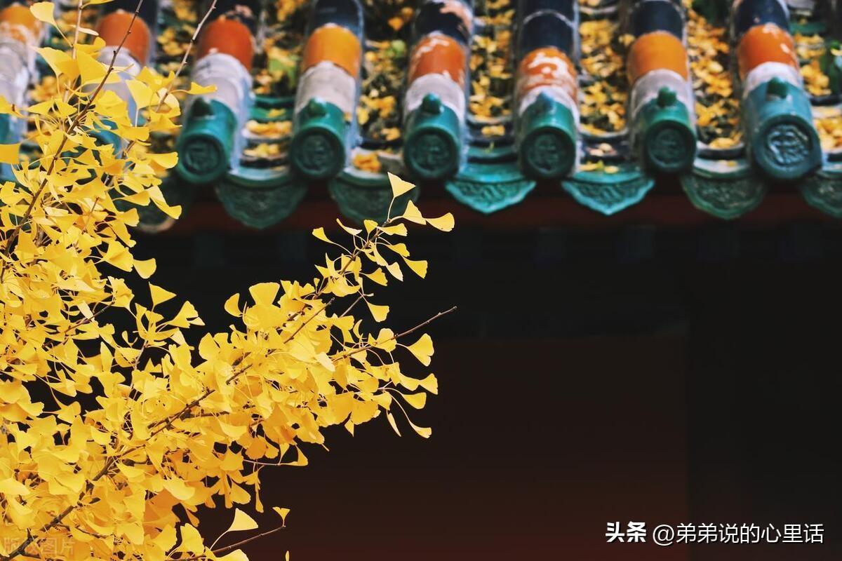 永远感激着你的陪伴，如同呼吸一般重要(图3)