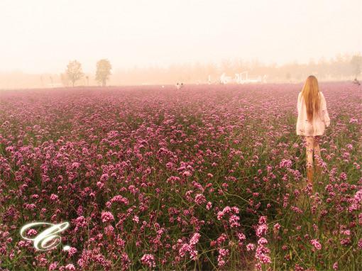 优雅的转身，是安之若素，也是顺其自然，美到骨子里的好句子(图1)