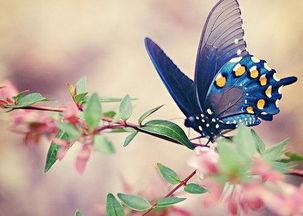 优雅的转身，是安之若素，也是顺其自然，美到骨子里的好句子(图2)