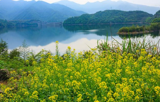 表达爱情的唯美句子：爱过无悔，只是不能相伴一生(图1)