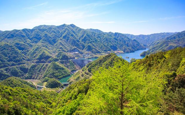 表达爱情的唯美句子：爱过无悔，只是不能相伴一生(图3)