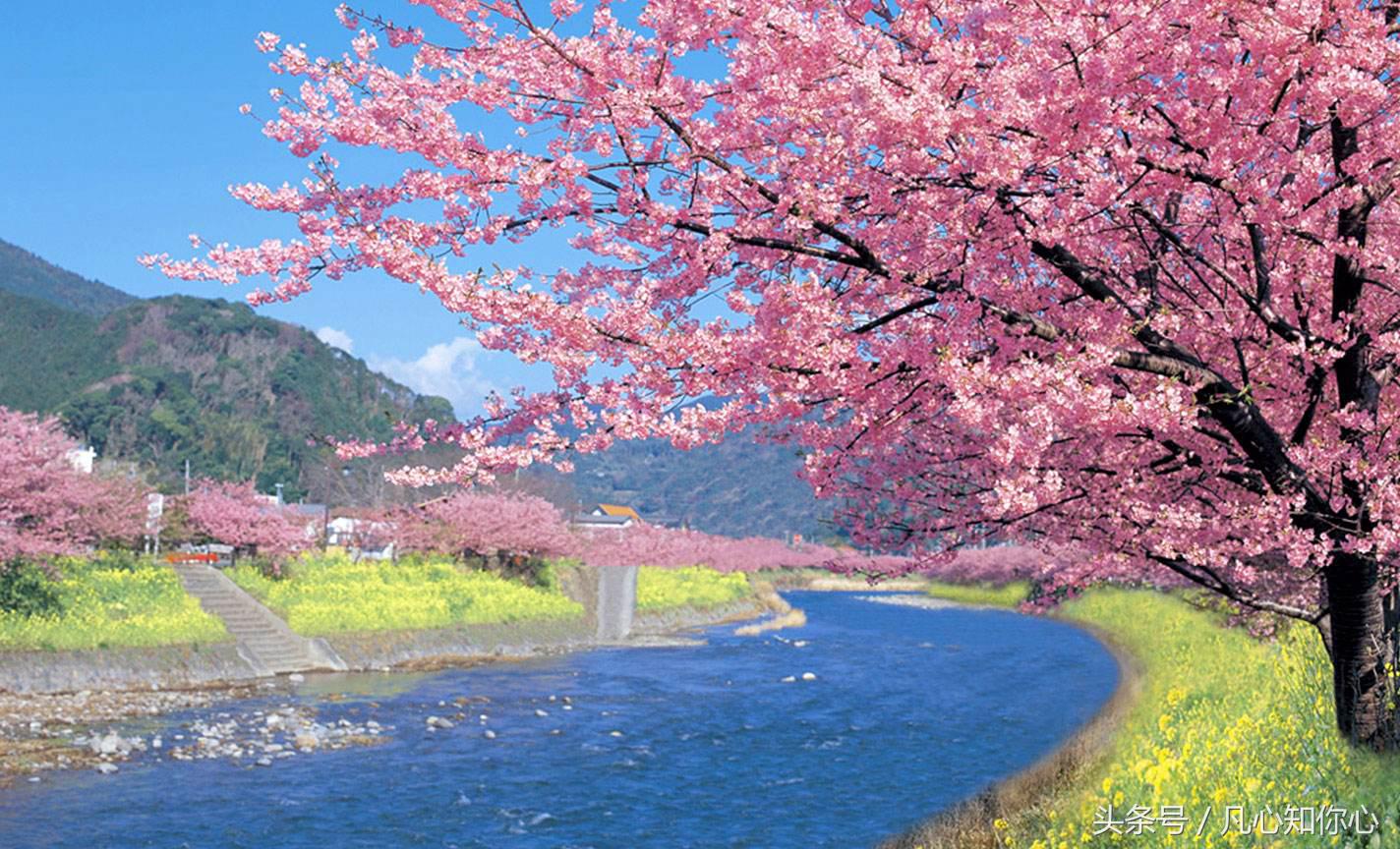 非常经典的句子，做错了，就应该考虑为自己的错误付出代价(图3)